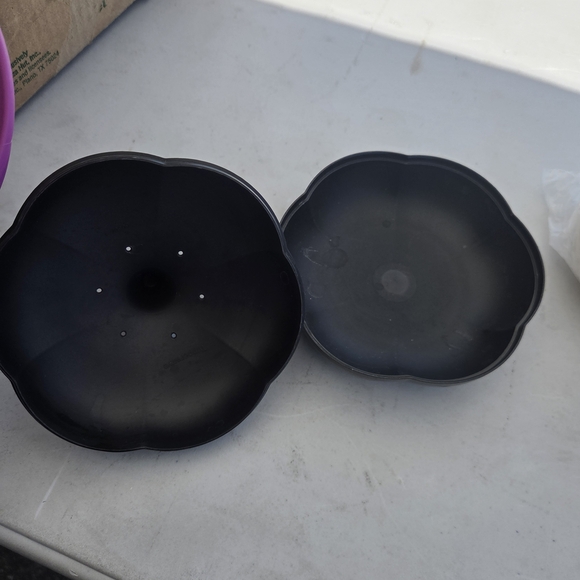 Tupperware Black Garlic Storage Container - Picture 2 of 4